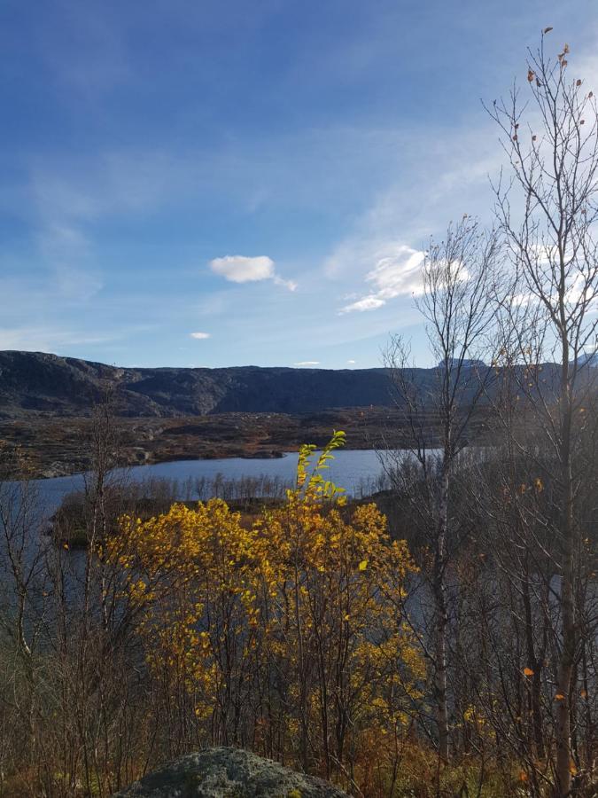 Villa Tinja Fjellgard Narvik Esterno foto