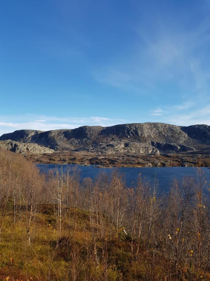 Villa Tinja Fjellgard Narvik Esterno foto