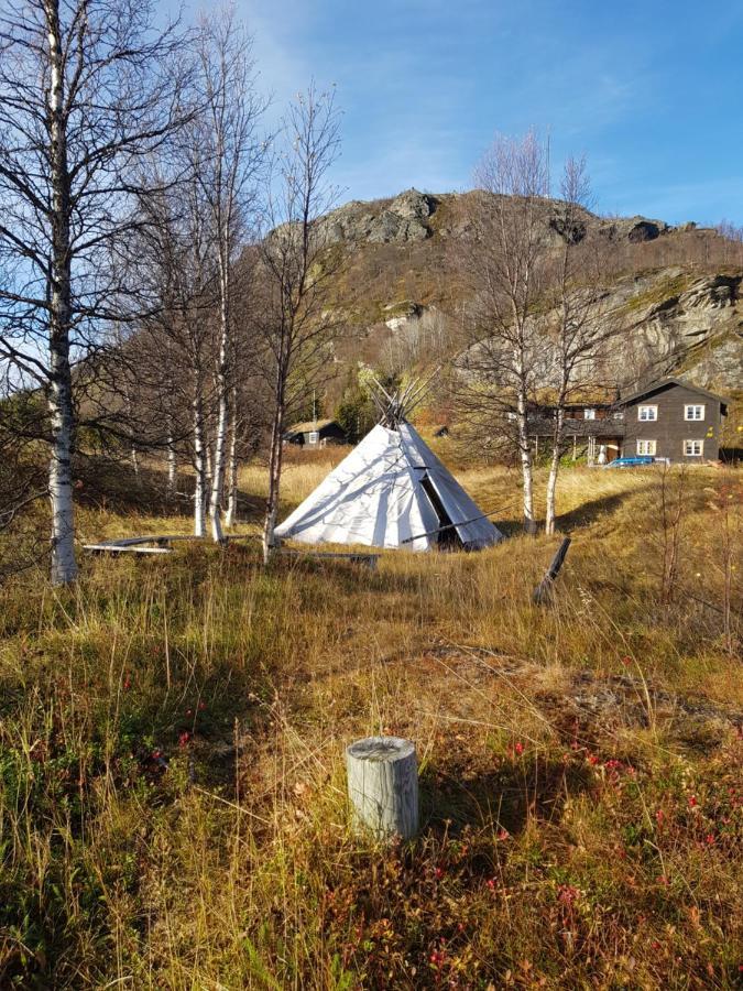 Villa Tinja Fjellgard Narvik Esterno foto